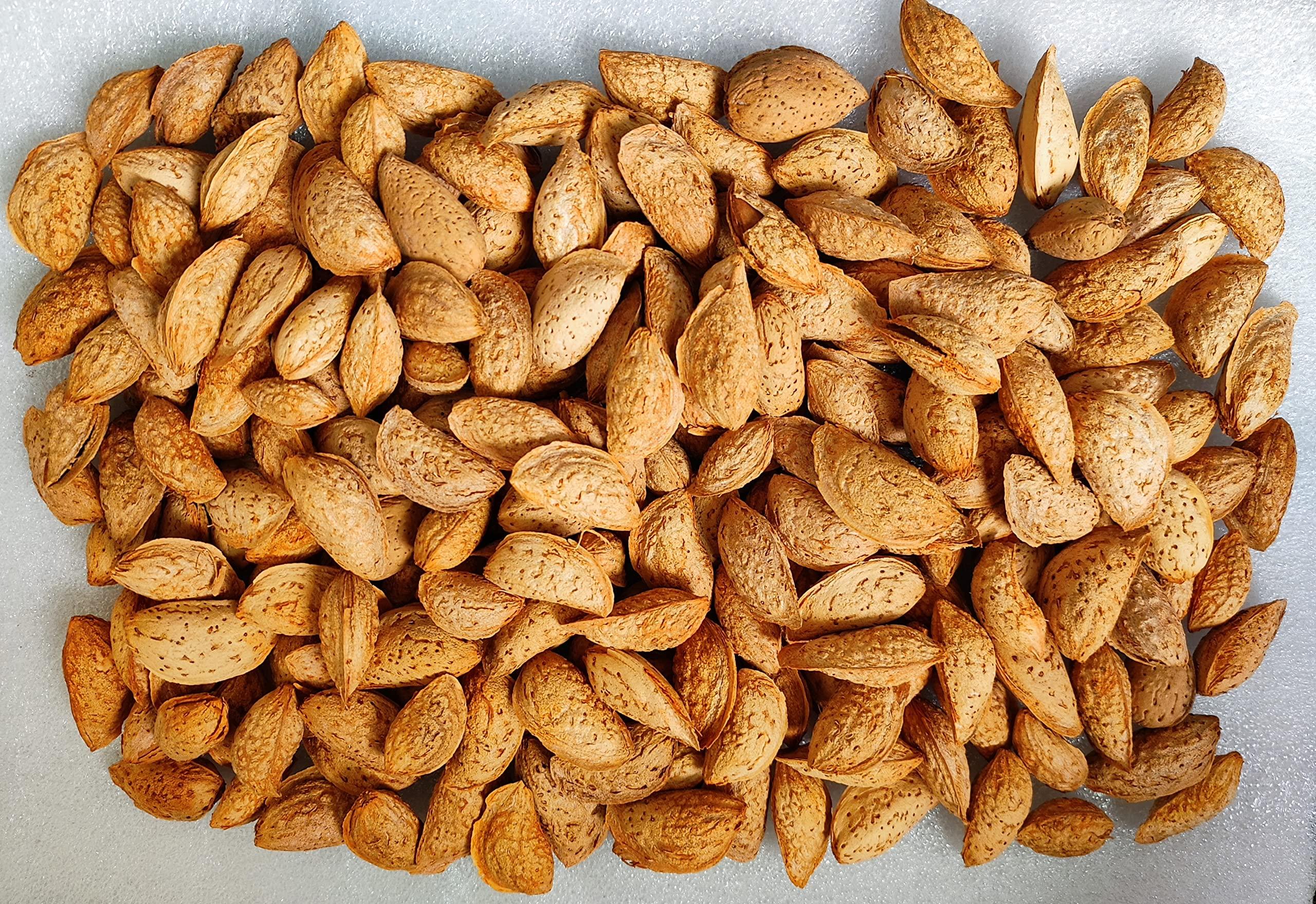 Snow Hills Kashmir Kashmiri kagzi badam in Shell (Mamra Badam) (4kg)