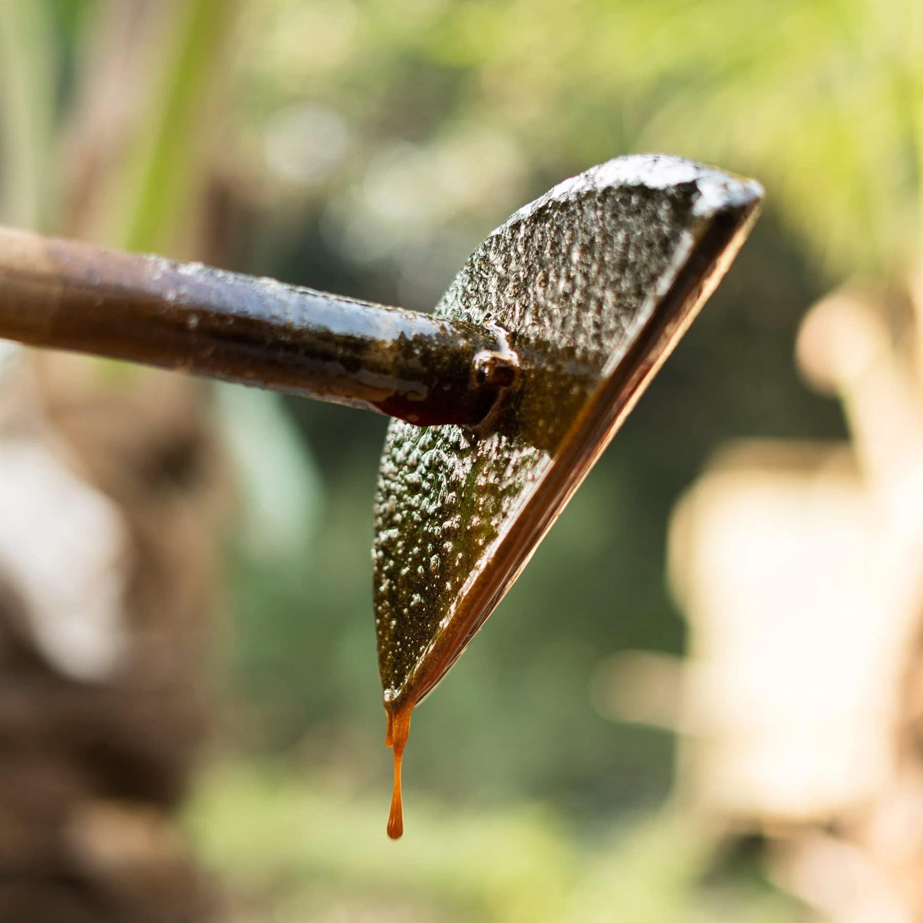 TWO BROTHERS ORGANIC FARMS Two Brothers Organic Farms Date Palm Jaggery/Nolen/Jhola Gur No Additives or Preservatives, Healthy and Tasty (Date Palm Jaggery Solid 1/2kg)