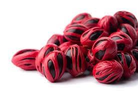 Issas Delight Naturals Issas Delight Naturals| Mace | Mace Spice | Javitri Flower | Javitri Whole | Javitri Flower Whole | Japatri | Big Size Mace Flower | 100% Natural Mace Flower | Cultivated at Kerala (100g) (500)