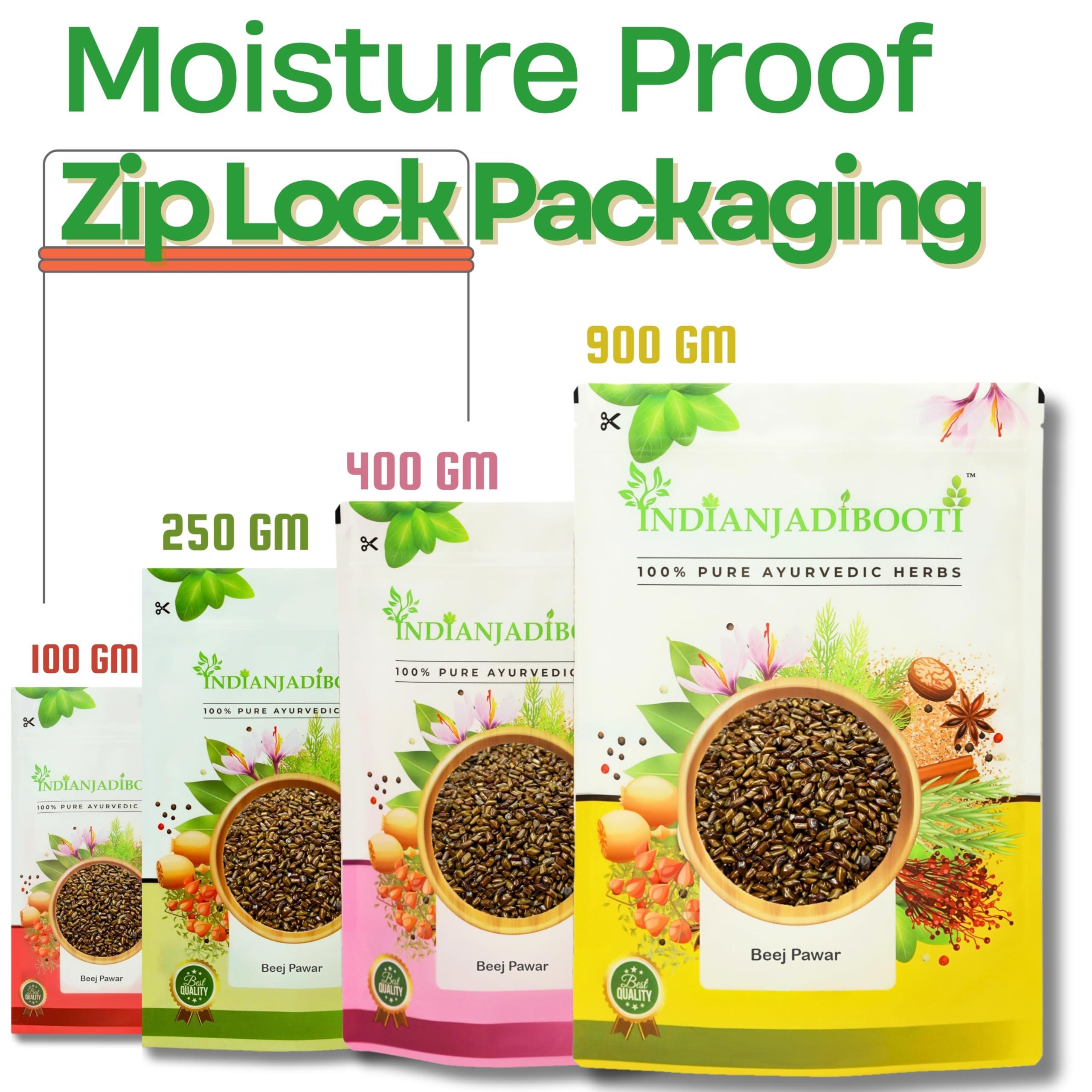 IndianJadiBooti IndianJadiBooti Puwar Cassia Tora Chakramarda Seeds, 400 Grams Pack