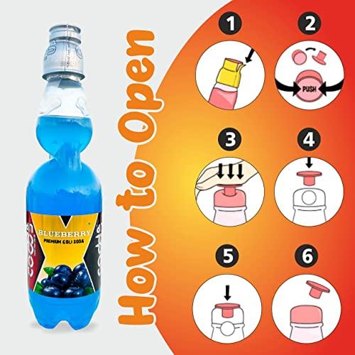 CODDUP Feel the thrill Codd Up Premium Goli Soda | Assorted Flavours | Pack of 6 - 300 ml Each (Blueberry)