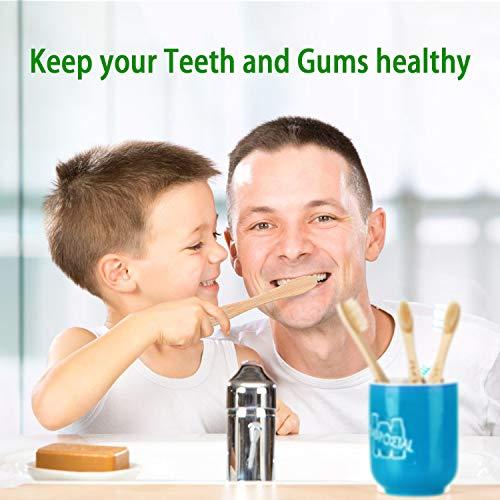 Premiumswede Bamboo Toothbrushes Biodegradable Eco Friendly - Natural Wooden Toothbrush with Soft Bristles - for Kids, Adults - Family 10 Pack