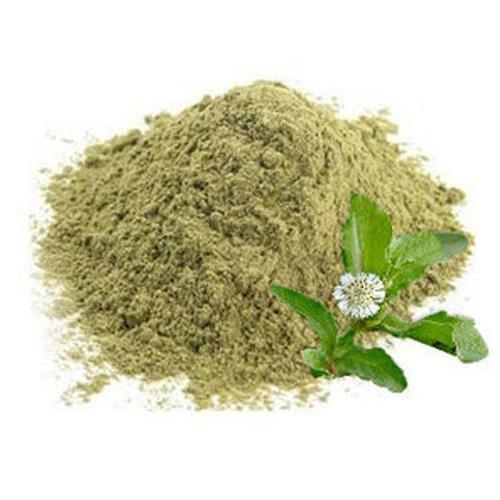 neotea Neotea Karisalankanni Bhringraj Powder | Eclipta Alba | White Prostrata | Natural Hair Growth & Scalp Care | Dandruff Control | Liver Support | False Daisy Leaves | No Preservatives | Pure & Chemical-Free | Kayonni, Kesaraja, Bhangra | Karisalai 300 