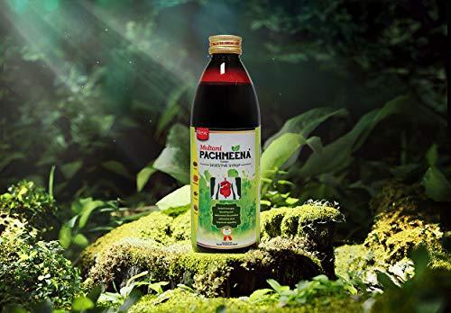 Multani Multani Pachmeena Tonik Digestive Syrup |Ayurvedic Products For Better Digestion | Relief From Gas, Bloating, Abdominal Discomfort | Improves Appetite 100% Natural & Ayurvedic | 300 Ml