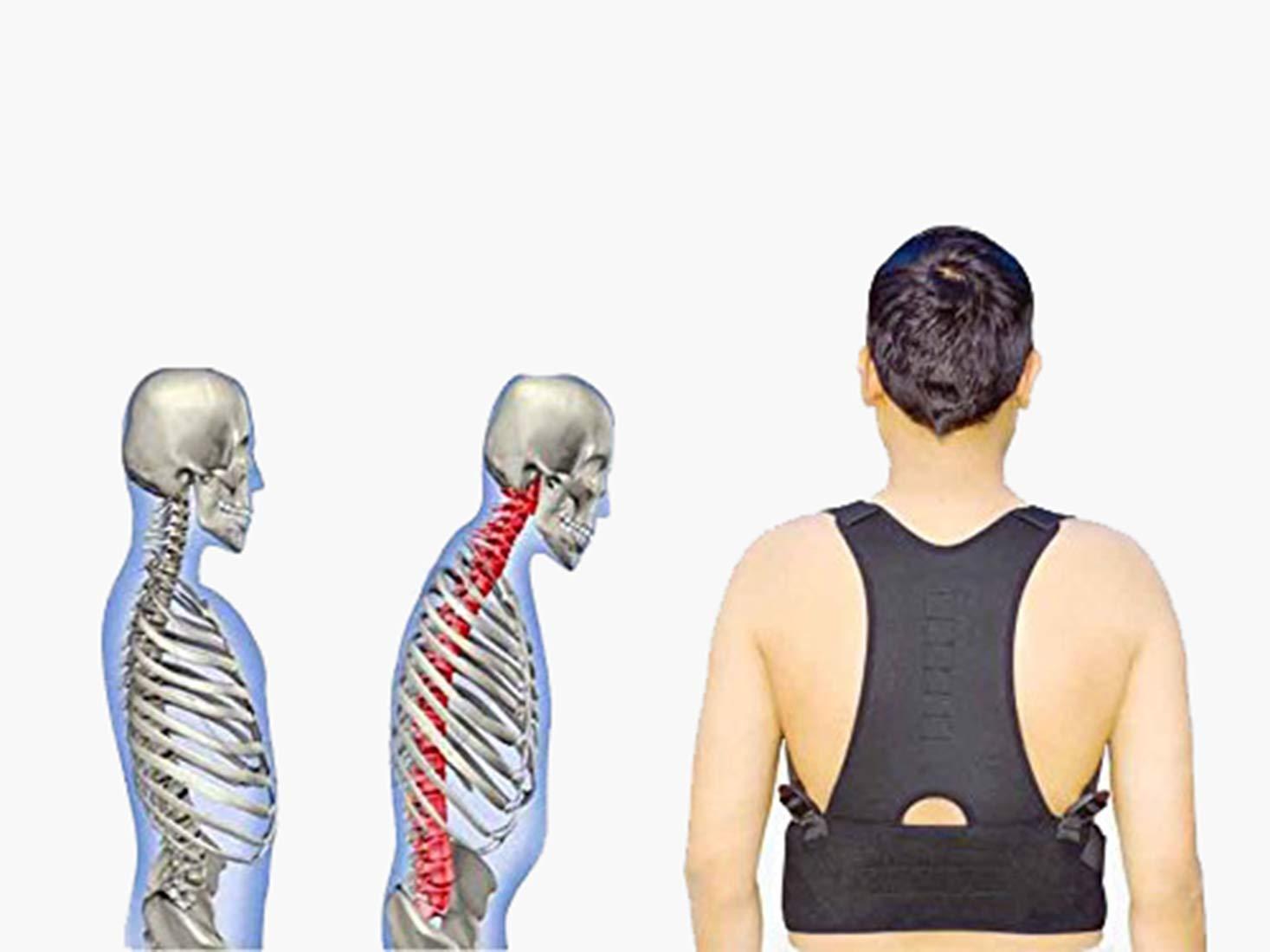 House of Quirk House of Quirk Posture Support Brace | Best Fully Adjustable Support Brace | Improves Posture and Provides Lumbar Support | For Lower and Upper Back Pain (XL)