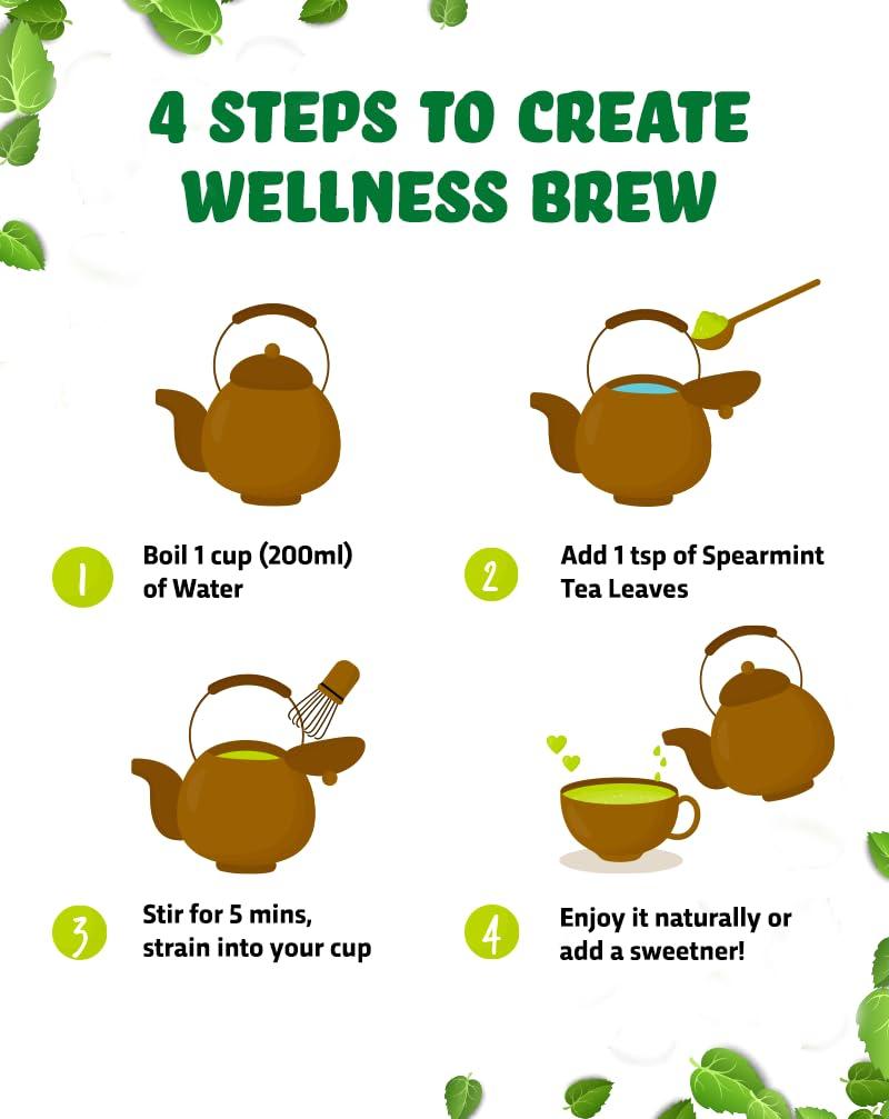 True Elements True Elements Spearmint Herbal Tea 100Gm - Tea For Pcos | Caffeine Free | Helps With Women Health | Loose Leaves