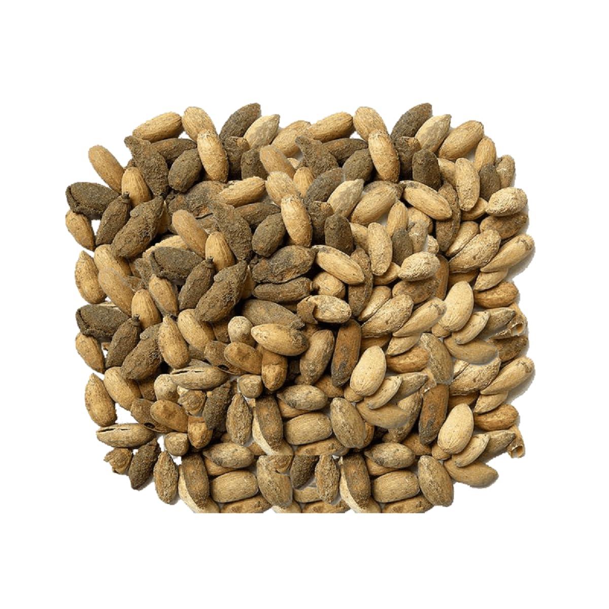 Nutrixia Food Neem Seed/Neem Ke Beej/Azadirachta (50 Gms)