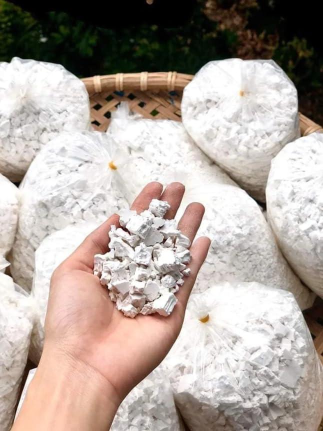 MMR GLOBAL MMR Palua, Paala Gunda Crystals, Odisha 250 gms Organic 100% Arrow Root Powder, Koova Podi