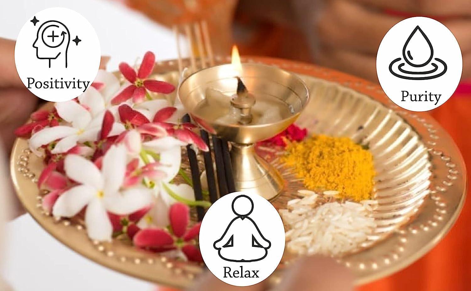 WQT WQT - Mahua Pooja Oil With Diya Batti 480 ML For Hindu Ritual Ceremony, God Worship (Special Pooja Oil), Grahpravesh, Hindu Festival, Religious Pooja Oil 480 ML