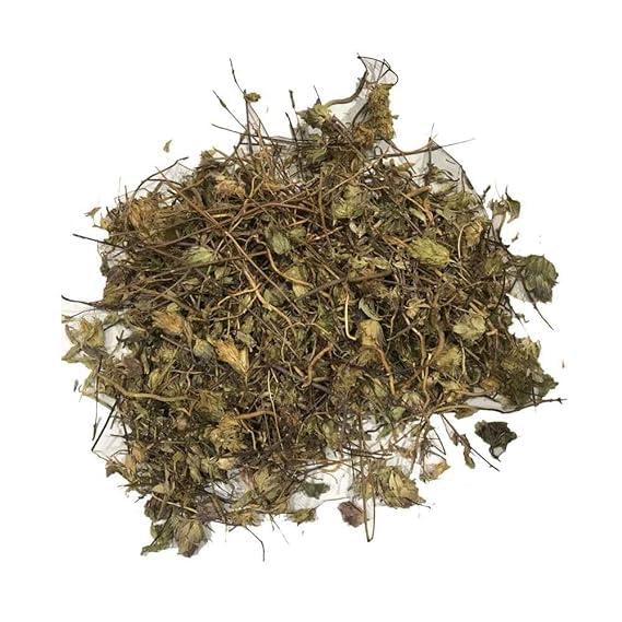 Backtobasics Jufa - Zufa - Hyssopus Officinalis Linn - Hyssop - Issopo - Holy Herb (100)
