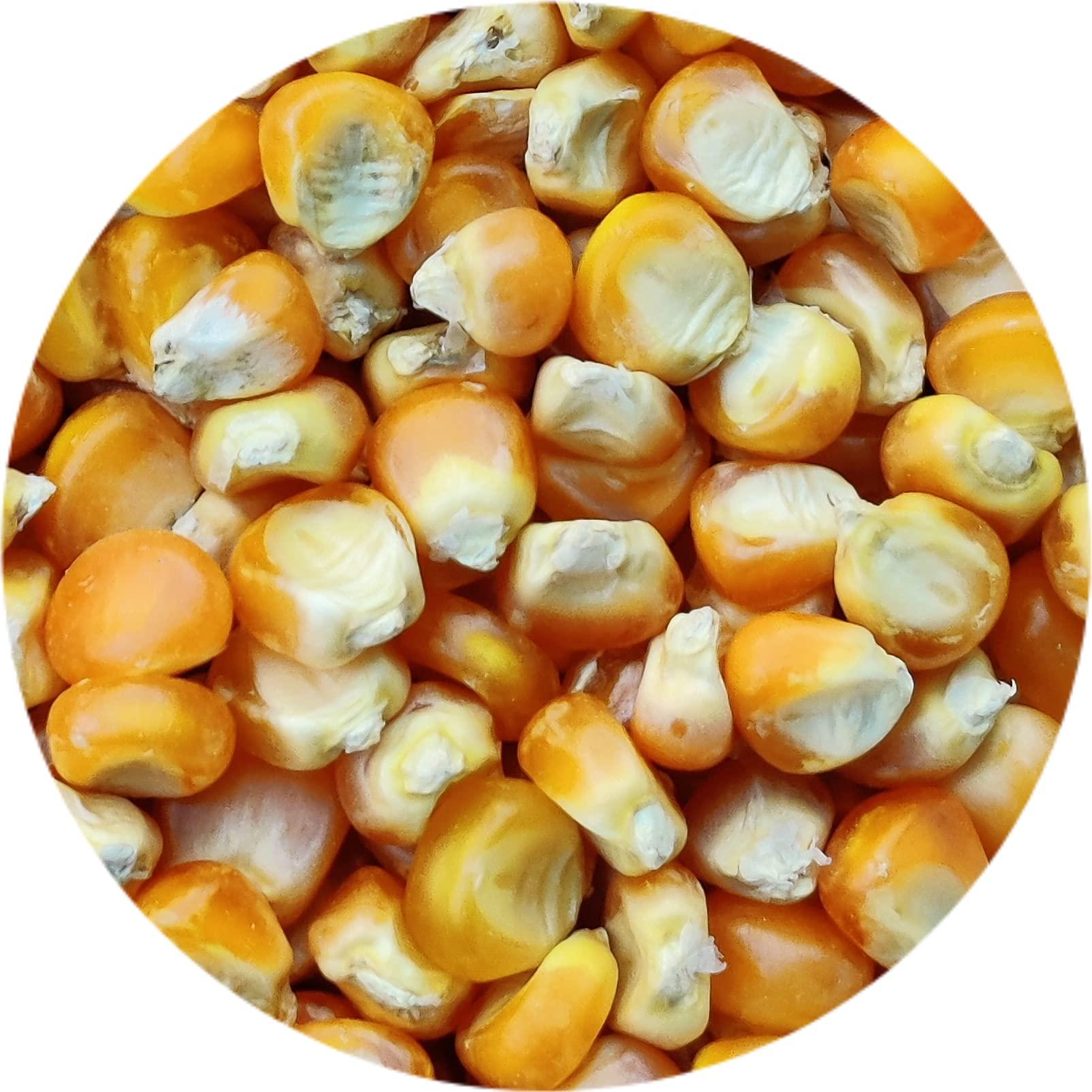 Kitchen Jungle Kitchen Jungle Seven Assorted Grains | 7 Dhan | Dhaan | sapt dhany for Pooja (  / 7 ) (10 Grams Each)