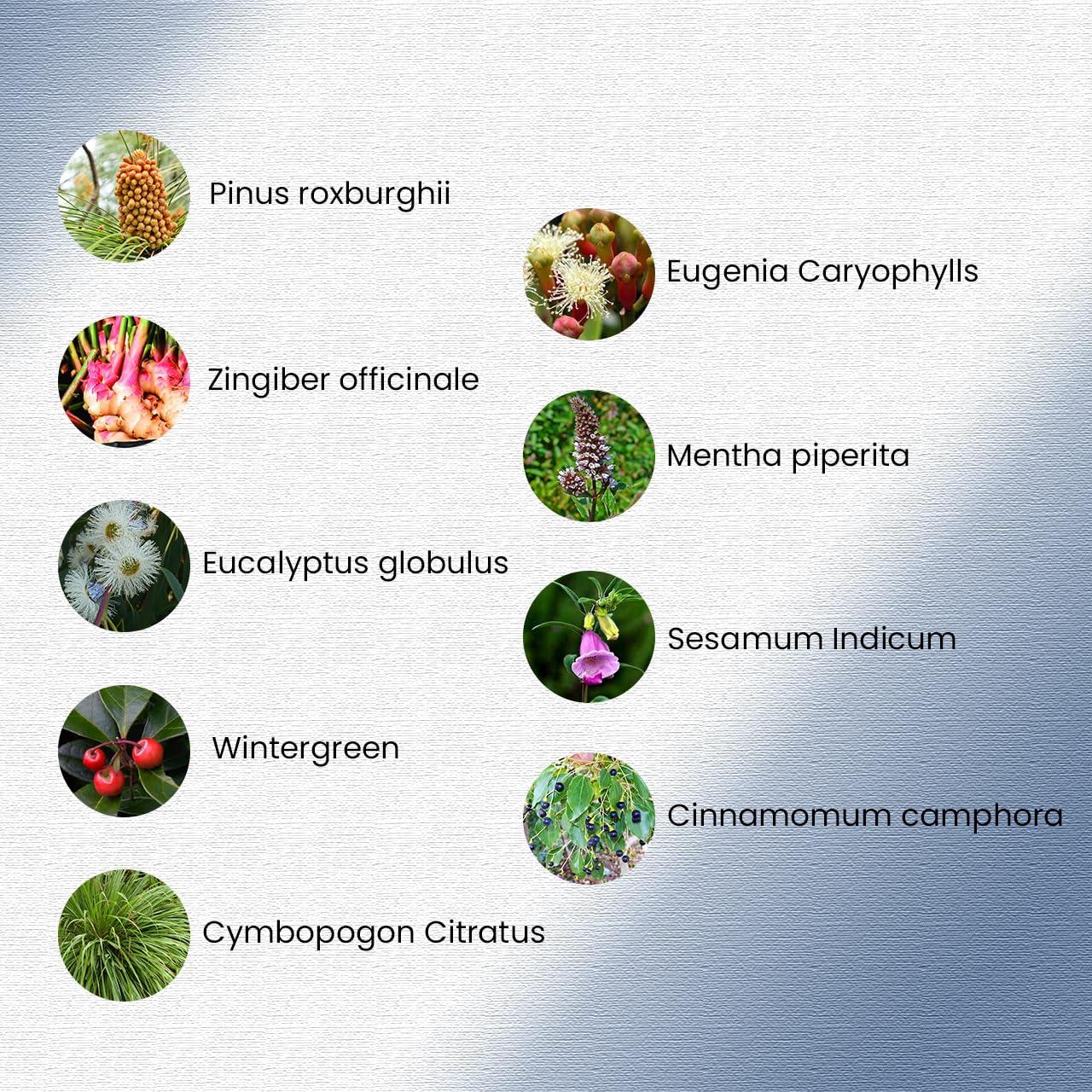 Generic Goran Multi Purpose Ayurvedic Pain Relief Oil - 50 ml pack of 4