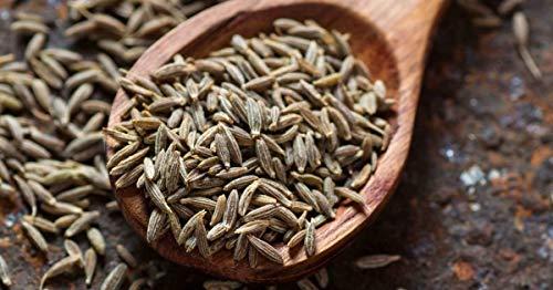 Annam ANNAM Natural Premium Cumin Seeds | Jeera | Cumin | Jiru - 900gm