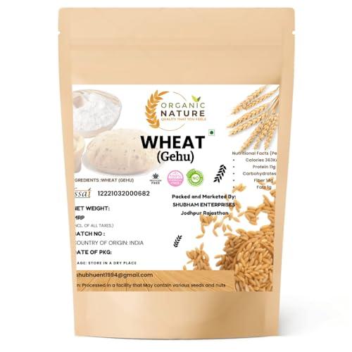 ORGANIC NATURE Organic Nature MP Sharbati Wheat Fresh from Farms | No Mixture | No Preservatives | Washed and Dried (Pack of 400 gms)
