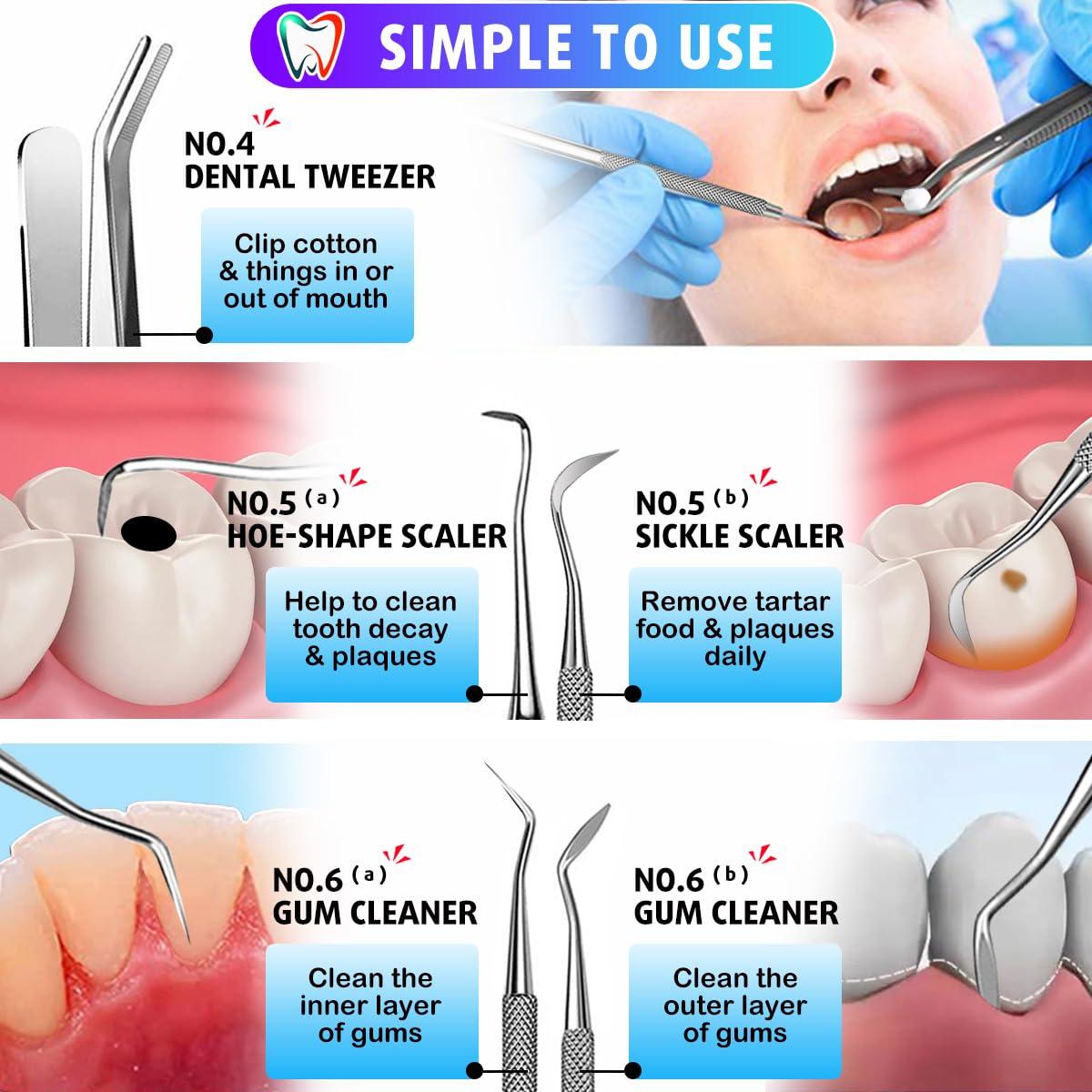 G.CATACC G.CATACC Dental Tools, Dental Pick Plaque Remover, Dental Scaler, Dental Floss, Teeth Cleaning Dental Hygiene Kit - 6 Pack (Silver)