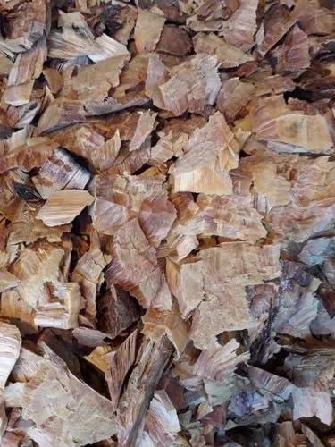 Nutrixia Food Cedar Wood (Deodhar)- () Deodar Lakdi-Deodar Wood-Cedrus Deodara Roxb (1 Kg)