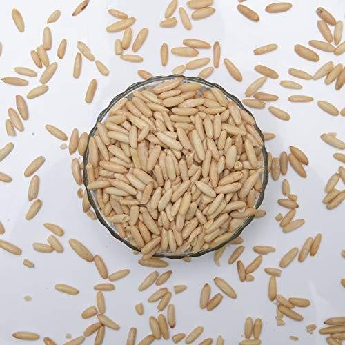 Dry Fruit Hub Dry Fruit Hub Pine Nuts without Shell 200gm Chilgoja,pine nuts chilgoza, Chilgoza Dry Fruits, Chilgoja In Dry Fruits Pack Of 200gm