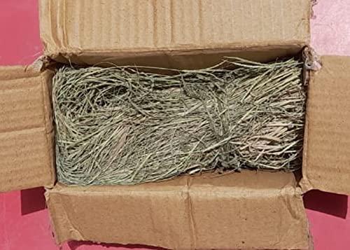 indianvedic Dried Dry Doob Ghaas Durva Grass Bahama Ghas Indian Couch Arugampul | Cynodon dactylon 250gm