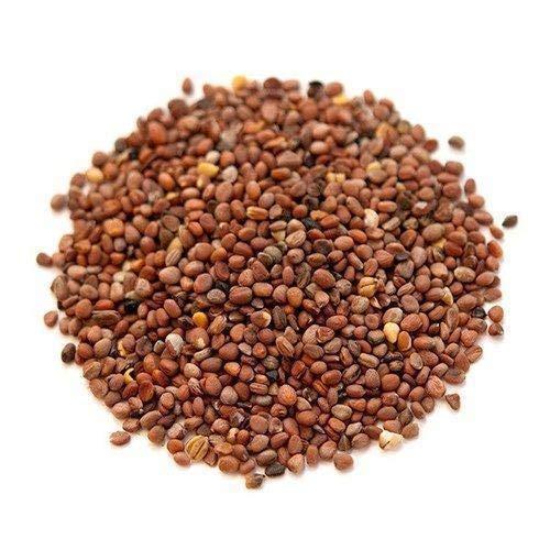 Generic Radish Seeds - Mullangi - Mooli Ke Beej 700g by VGrow Traders