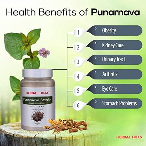 HERBAL HILLS Herbal Hills Punarnava Powder (100 Gms Pack of 4)