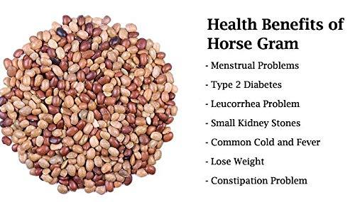 BANRUJJEDER ORCHID BAGAN PRIVATE LIMITED 100 Gram Kulthi / Horse Gram / Kulotto Kolia / kollu / kaanam / Hulthi / Ulavalu /Kuleeth / Macrotyloma Uniflorum