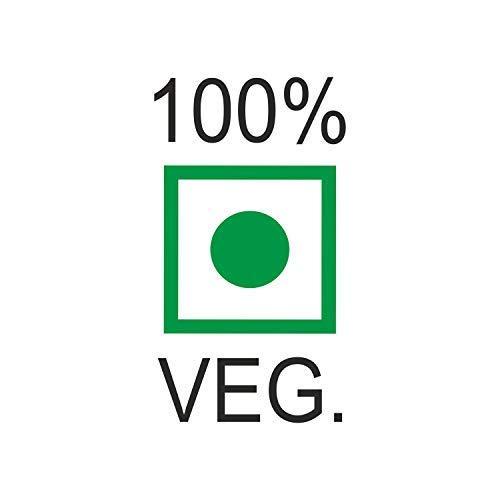 3GOrganic 3GOrganic Premium Quality Giloy Powder for Healthy Hair & Multipurpose 100 Grams (Pack of 2)