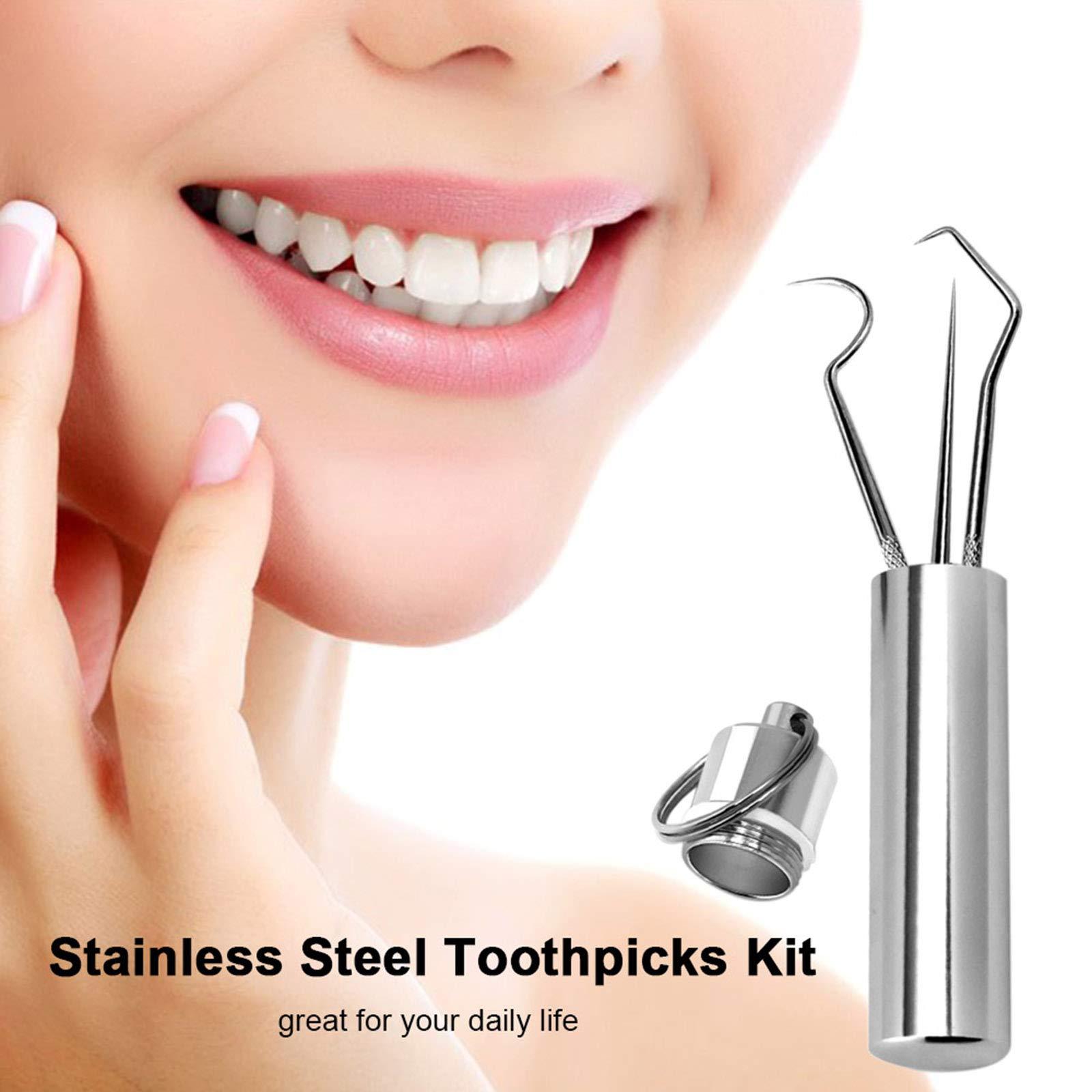 AIXING Portable Toothpicks Stainless Steel Tooth Pick Sticks Pocket Toothpick with lder for Teeth Cleaning & Teeth Care 3 Types