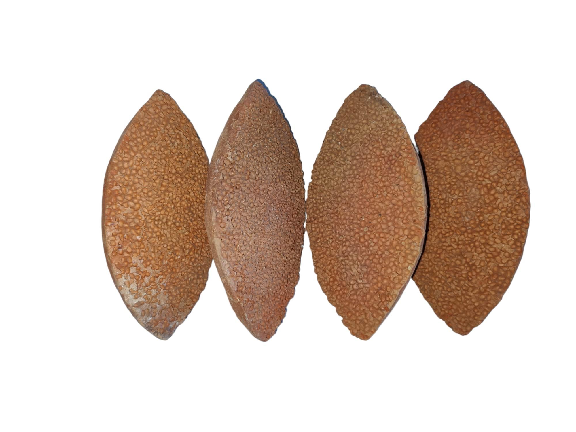 Claymper Claymper 100% Natural Mitti Ka Jhama, Melkhora, Pumice Stone Foot Scrubber - Dead Skin Remover for Women and Men (Pack of 4)