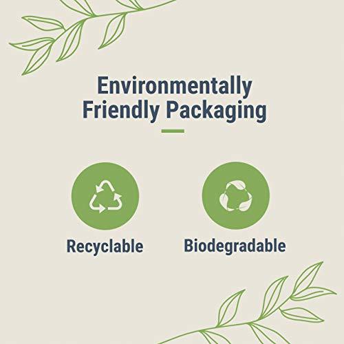 Veeda Veeda Regular Applicator Free Tampon - 16 - Count