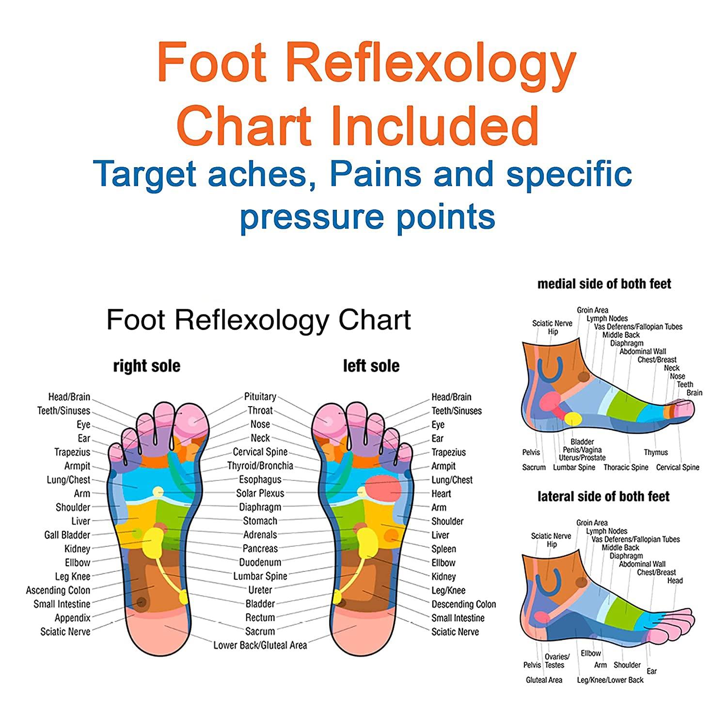 CraftsCollectionStore Crafts Collection Store Foot Wooden Massager with Multi Roller 13"| Rosewood Unisex Massager for Full Body Pain Relief | Relieves Muscle Pain | Gives Acupressure on Bottom of Foot