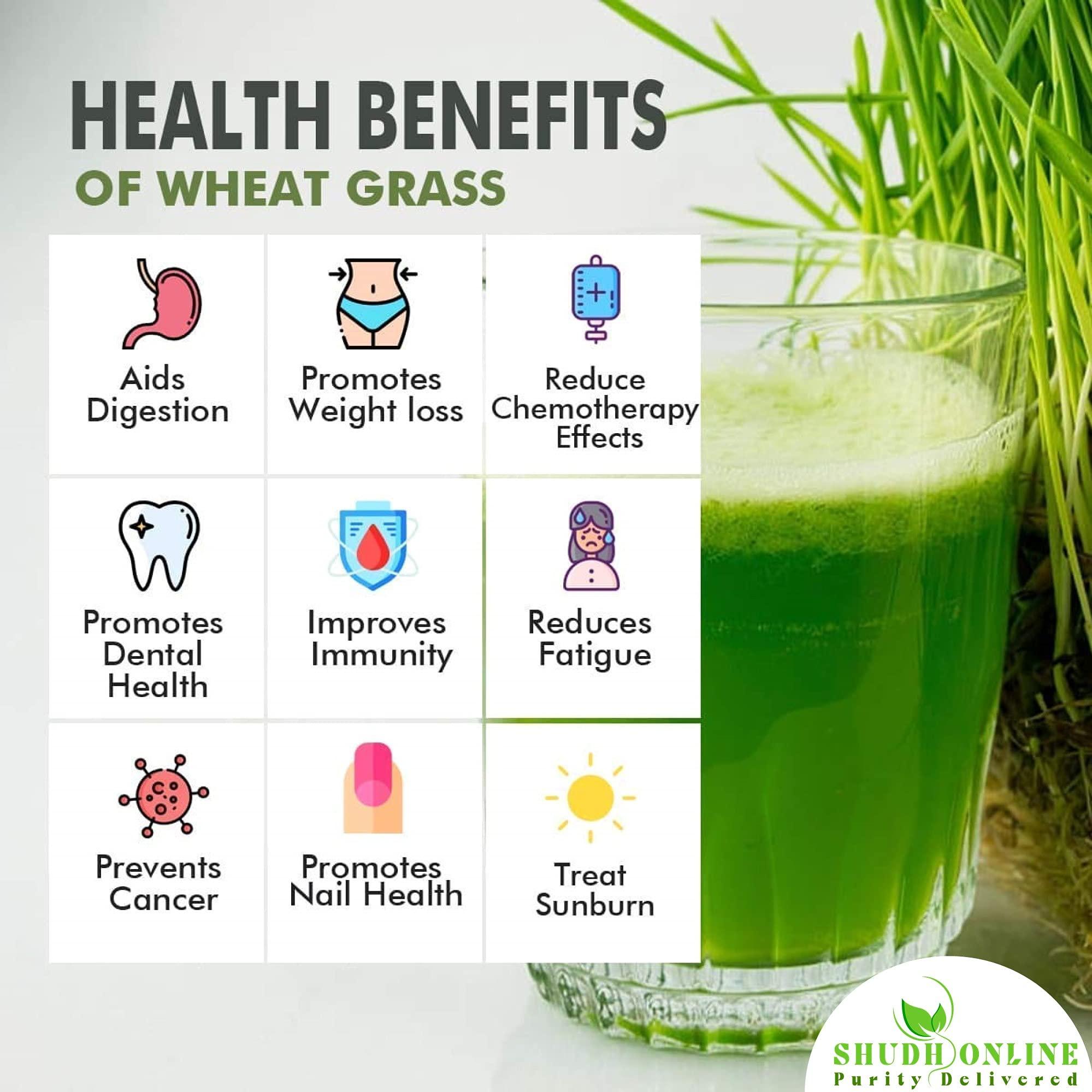 Shudh Online Shudh Online Wheat Grass Powder Organic, Wheatgrass Juice powder (100 Grams) - Rich in Chlorophyll, Detox, Plant Protein, Natural superfood, No sugar