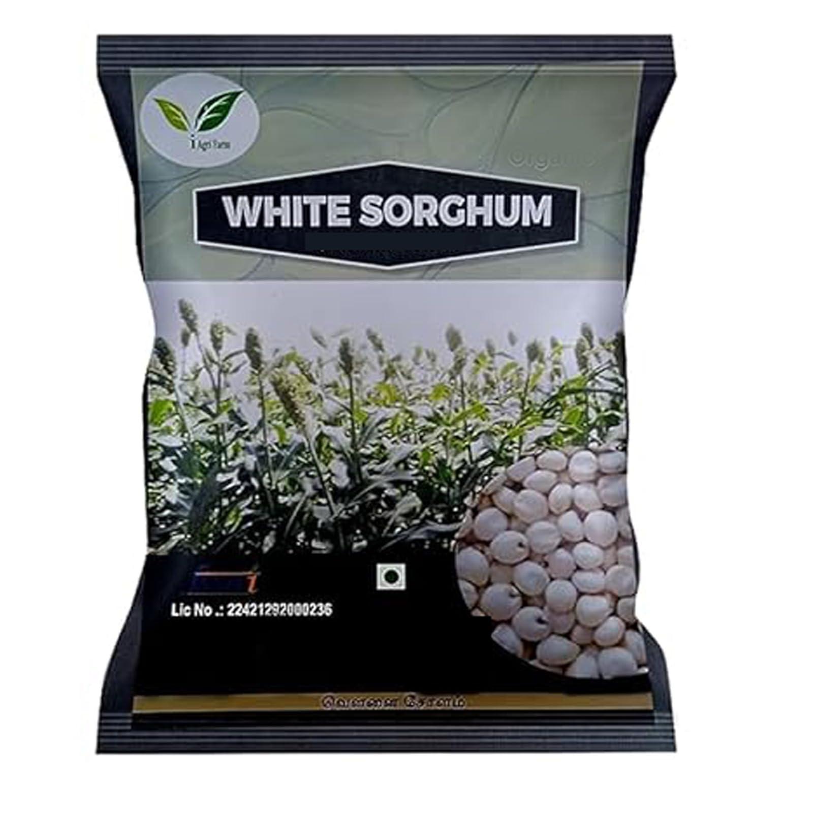 IAgriFarm Iagrifarm White Sorghum - 1 kg - Whole Grain/Cholam | Vella solam | Jowar | Jola | Jonna - High Protein & 100% More Fibre Than Rice