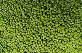 Generic ORGANIC GREEN GRAM, MOON BEANS, PESALU,