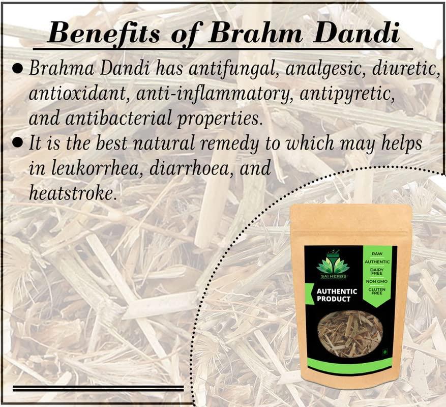 SAI HERBS SAI HERBS Brahm Dandi - Satyanashi - Oont Katara - Camel's Thistle - Tricholepis Angustifolia - Pure & Natural (500 Grams)