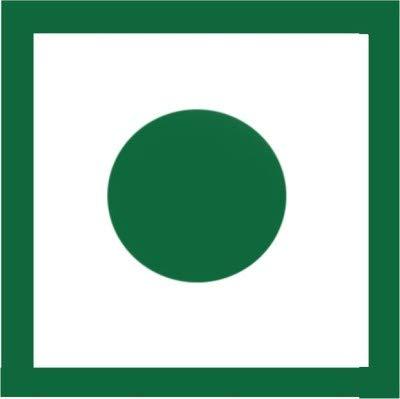 GOOSEBUMPS Goosebumps Homemade Green Chilli / Hari Mirch Pickle / Aachar, Preservative Free, 250g