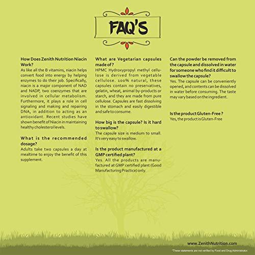 Zenith Nutrition Zenith Nutrition Zenith Protein Pure Soy - 500 gms