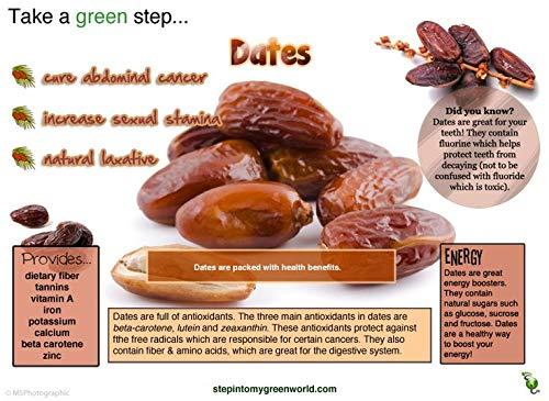 Watheen Watheen Mabroom Dates 800g Premium Dates from Saudi Arabia, Smooth and Sticky with High Fiber for Healthy Snacking (Mabroom Dates 800g)