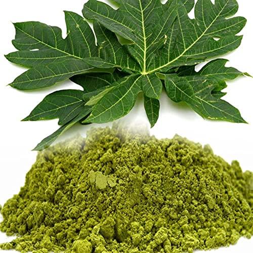 Generic Papaya Leaf Powder-Papita Patta Powder papeeta -Raw Herbs-Papita Leaves Powder-Jadi Booti-Single Herbs (100 Gram)