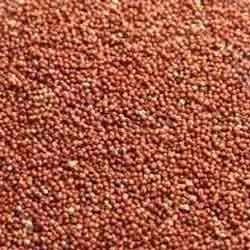 Spicado Traders Spicado Traders Whole Ragi Seed Finger Millet Fresh Stock - 1kg