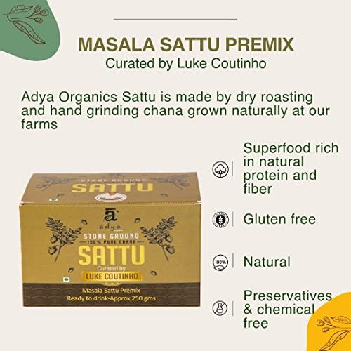 adya organics Adya Organics Chana Sattu Premix I Ready to drink Sachets (Pack of 10)