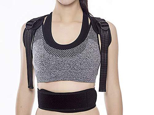 HERBAL HILLS Herbal Hills Gurmar Powder | 1 Kg Pack