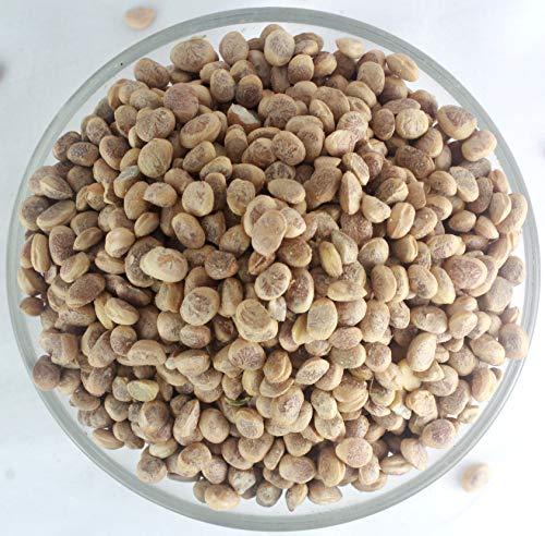 minimal Minimal Almondette Seed Organic/Chironji/Charoli,250g