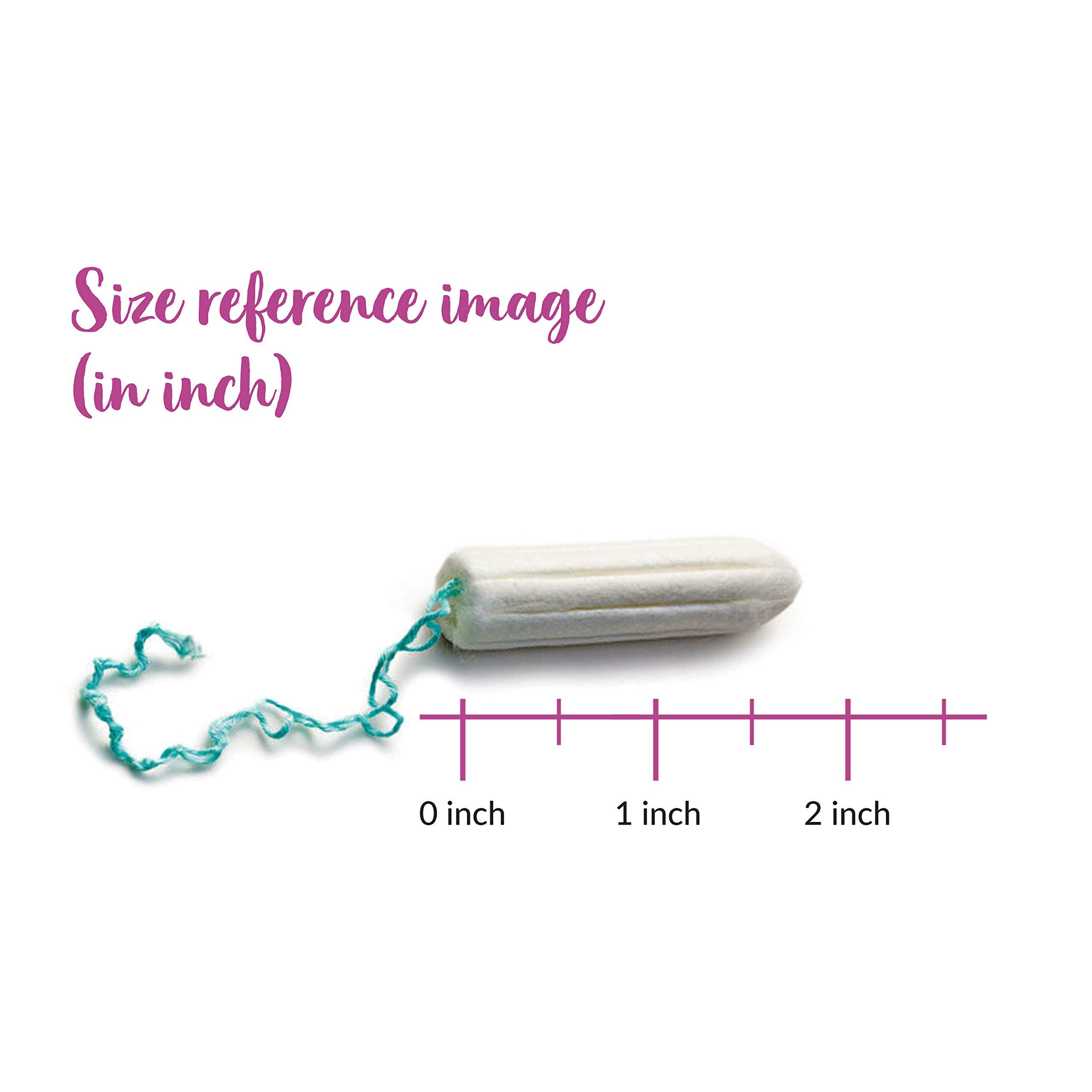 Sirona Sirona Period Made Easy Tampons - 20 Piece (Pack of 3) | For Medium & Regular Flow | Biodegradable Tampons | FDA Approved