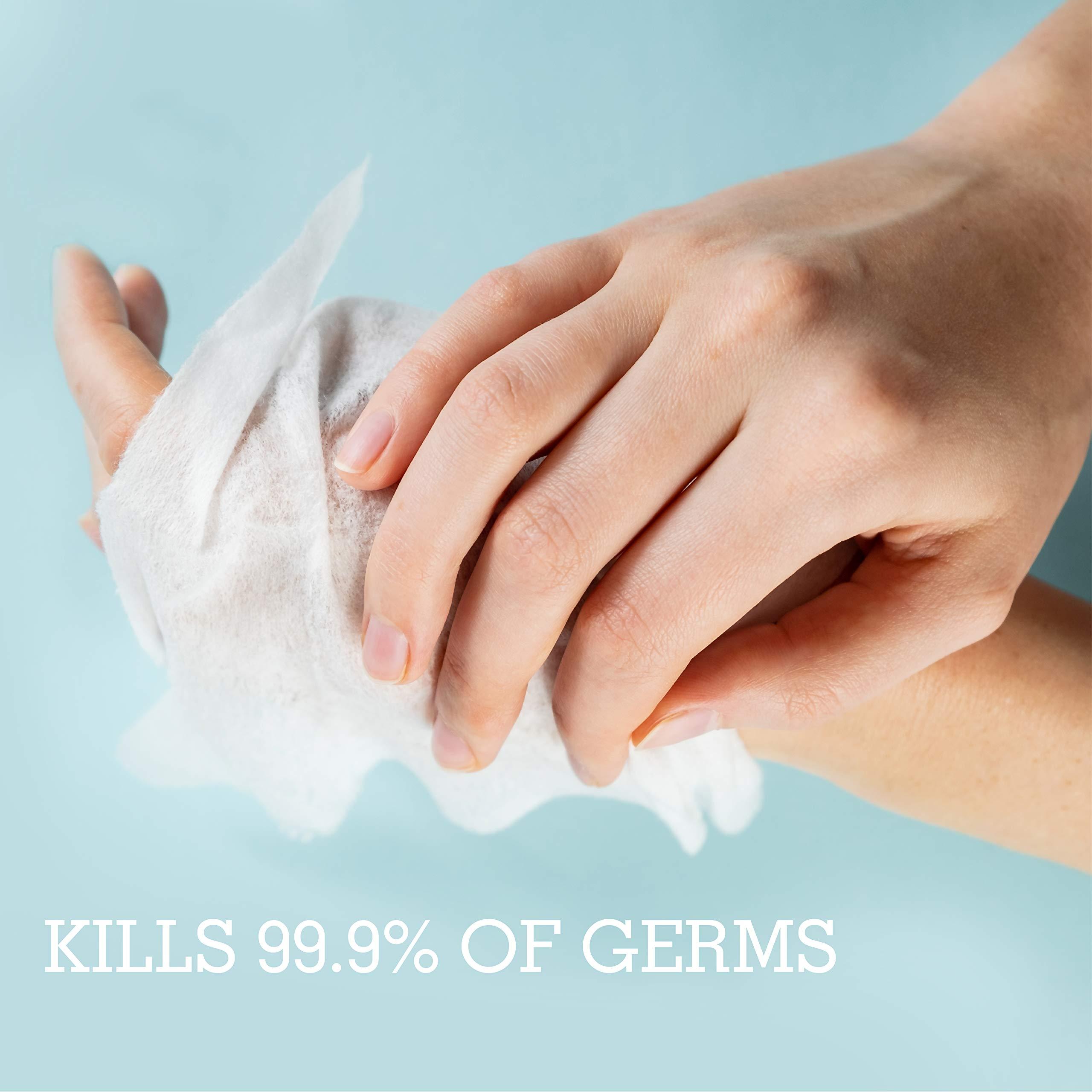 Cleanze Cleanze Antibacterial Hand Sanitizing Hand Wipes | Individual Hand Wipe Packets, 50 Unscented Disinfecting Hand Sanitizer Wipes with Aloe | Travel Hand Sanitizer Wipes Kill 99.9% of Germs