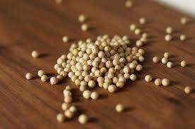 Roods Roods Fresh Natural Whole White Peppercorn ( Safed Mirch Sabut ) (Sabut Safed Dakhni Mirch ) (250 Gram