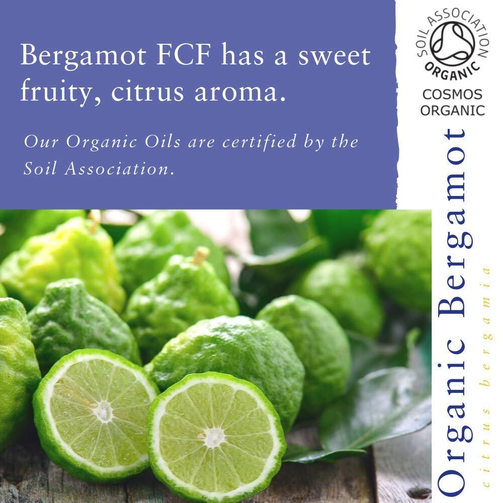 Absolute Aromas Organic Bergamot Essential Oil by Absolute Aromas | Prized for its mood-boosting and cleansing properties | Luxury Aromatherapy