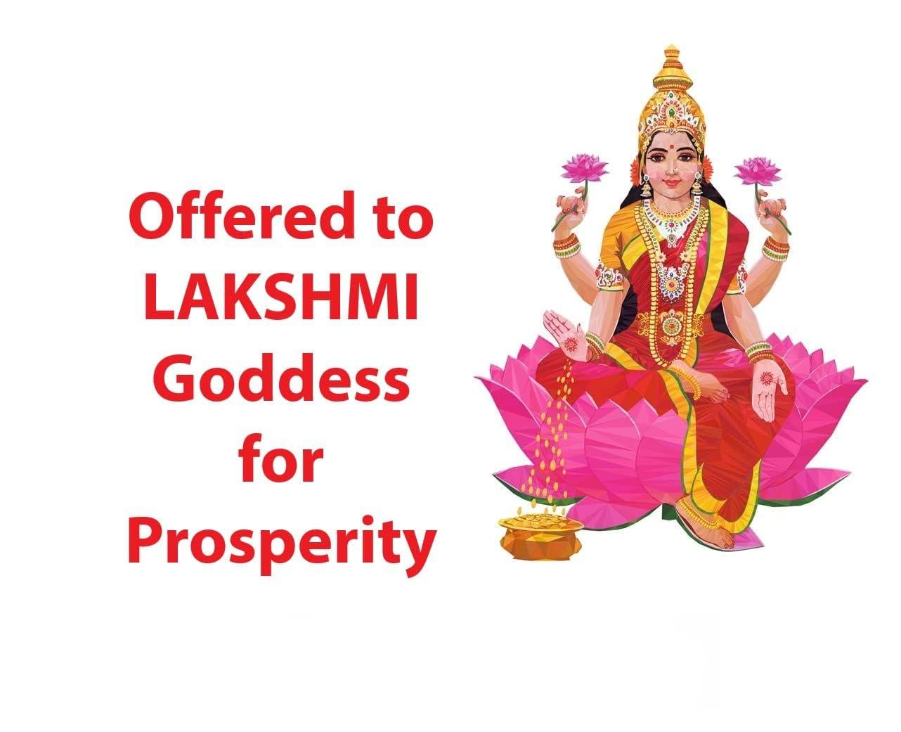 Magic Providers Magic Providers Original Kamal Gatta | Raw Lotus Seeds | Tamara Ginjalu Seeds | Thamarai Vidhai | Makhana Seeds for Laxmi Pooja, Mala & Havan Pack of 5