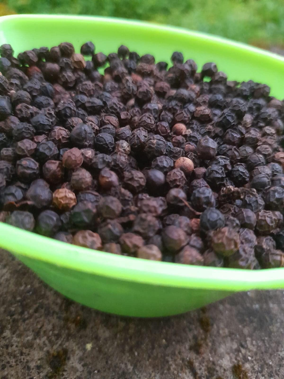 Generic Black Pepper Kerala Kali Mirch Kurumulag 200GM (Large)