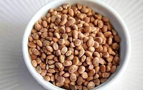 DHAWAK Dhawak Almondette Kernels (Charoli or Chironji) - 200 GMS.