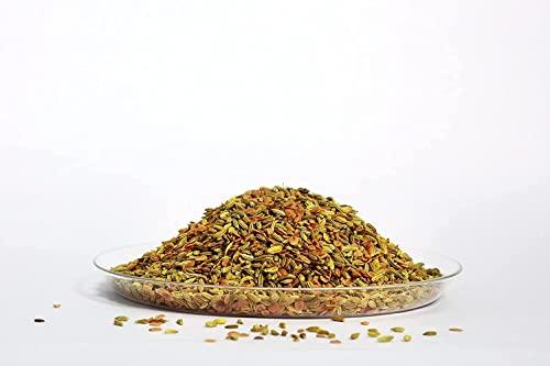 Generic Girnar Detox Green Tea (36 Tea Bags) + Jyoti Ben's Mukhwas Roasted Saunf With Dhana Daal 200g